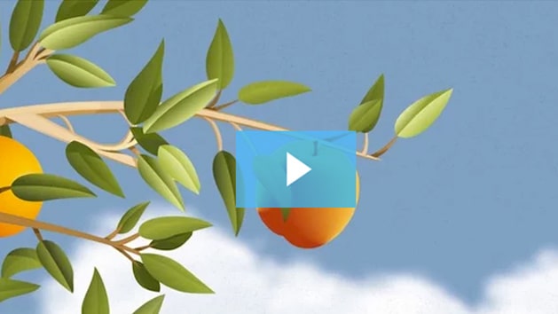 A Fruitful Retirement: Social Security Benefit